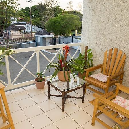 Cozy Waterloo Apartment Kingston Exterior photo